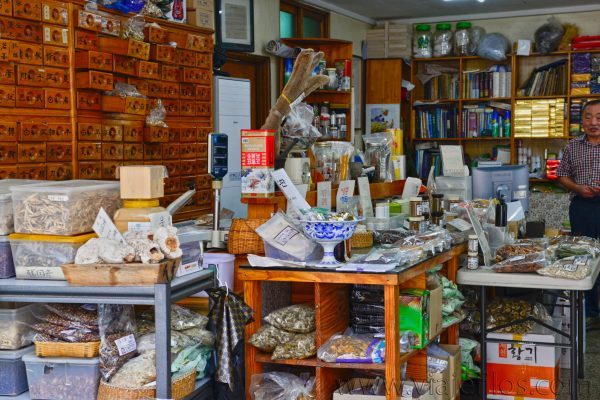 Mercado de hierbas medicinales orientales de Daegu Mercado de hierbas medicinales orientales de Daegu, para nosotros una de las visitas imprescindibles en Daegu