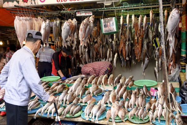 Mercado de Jagalchi de Busan Mercado de Jagalchi de Busan, no puede dejar de visitar el espectáculo del mayor mercado de Busan