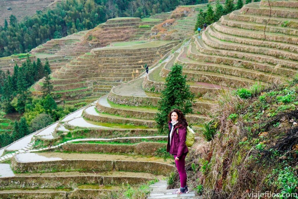 Las terrazas de arroz de Longsheng