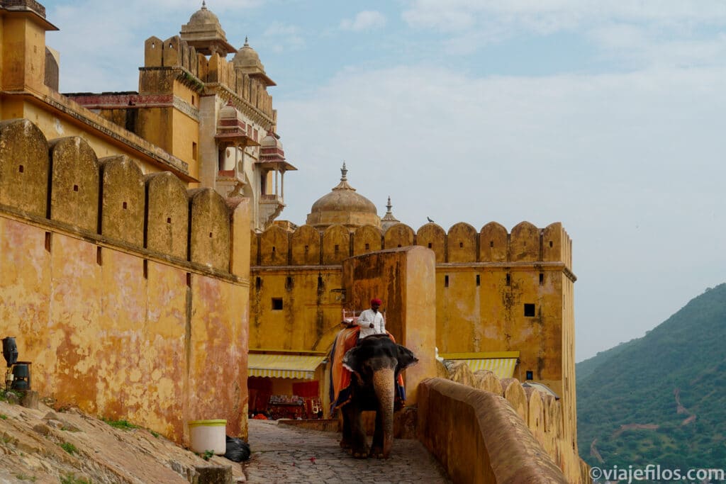 Amber Fort