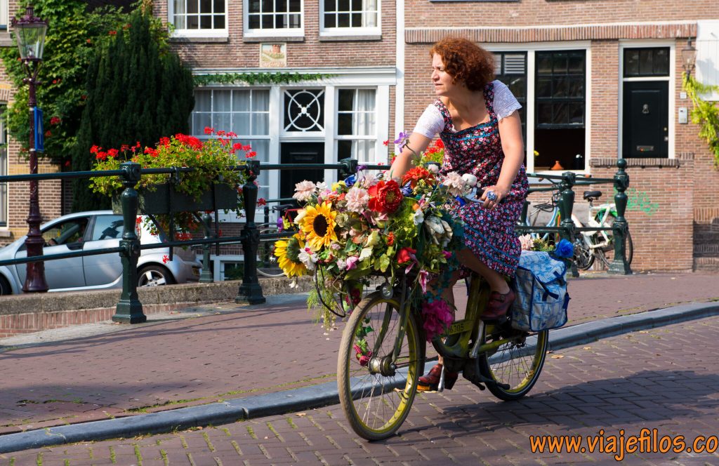 Bicicletas, flores, canales... eso es Amsterdam